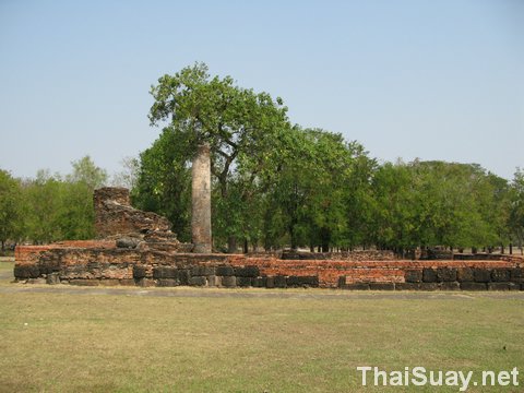 copy-of-img_6672